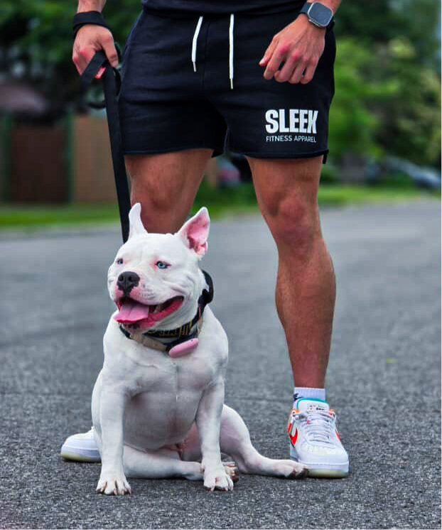 • NEW • STEEL Jogger shorts