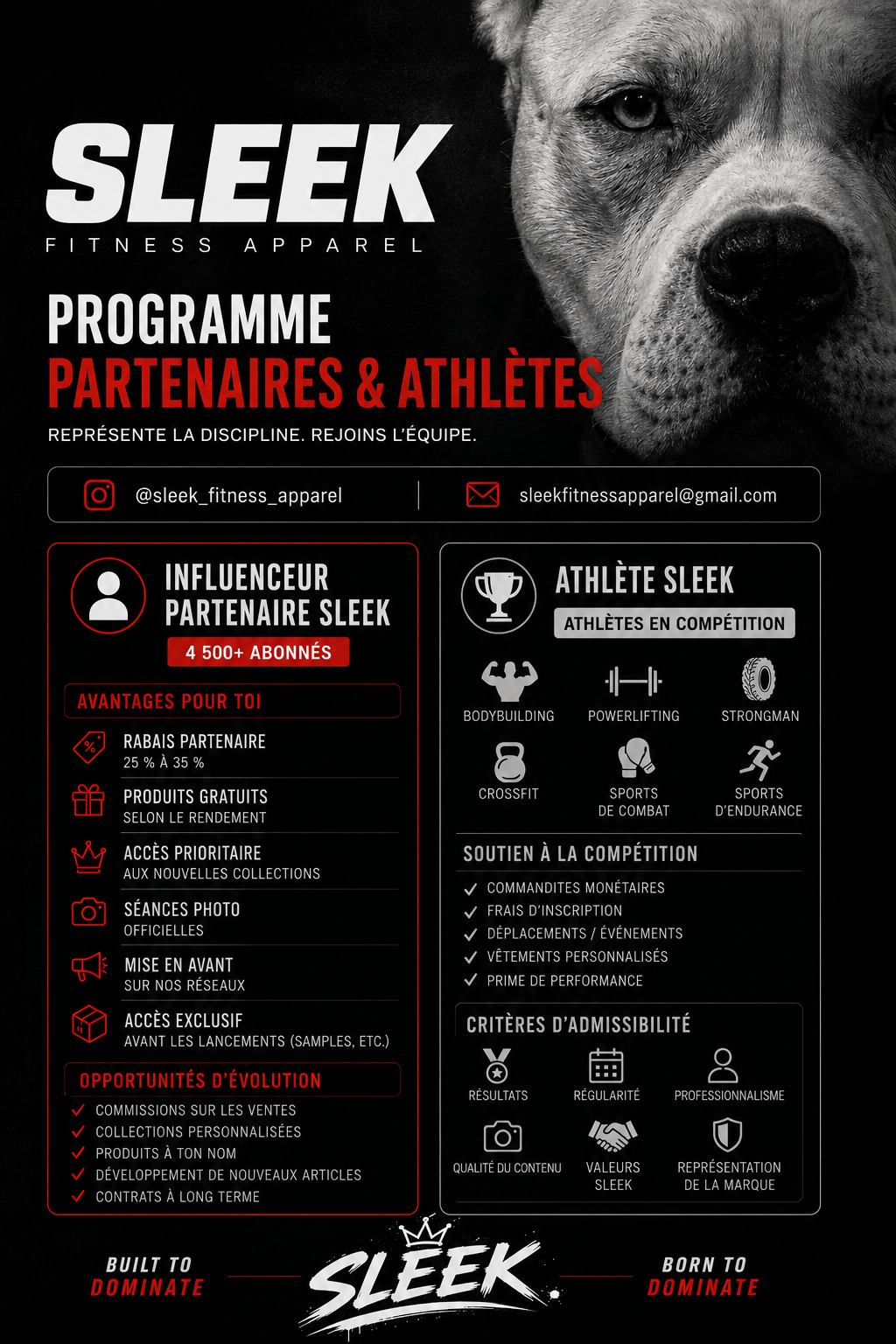 🥇 Influenceur 🏆 Athlète  Programme Ambassadeur SLEEK (4 500+ abonnés)
