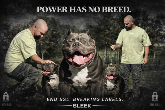 SLEEK FITNESS APPAREL