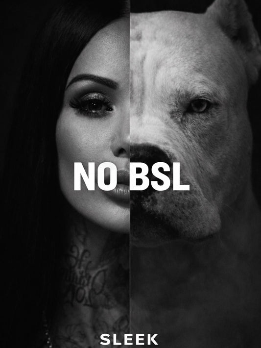 SLEEK FITNESS APPAREL MINDSET