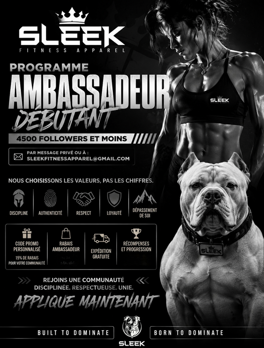 🥈 Ambassadeur SLEEK ( 1000 à 4 500 abonnés)