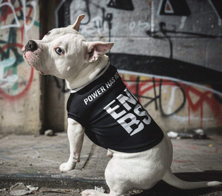 SLEEK – NO BSL Dog Jersey