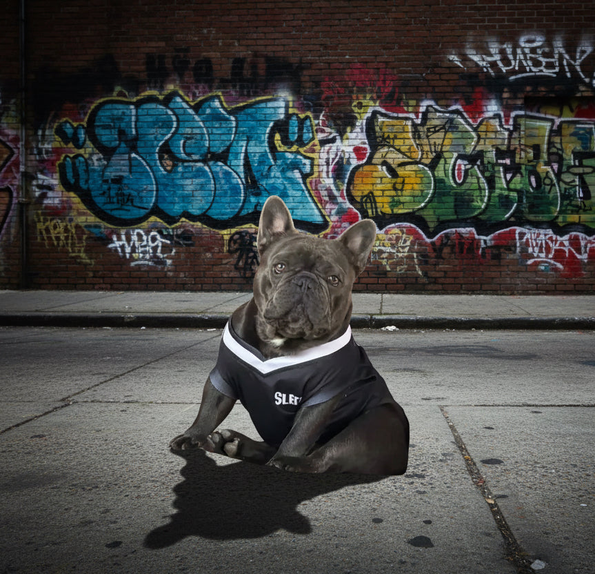 SLEEK – NO BSL Dog Jersey