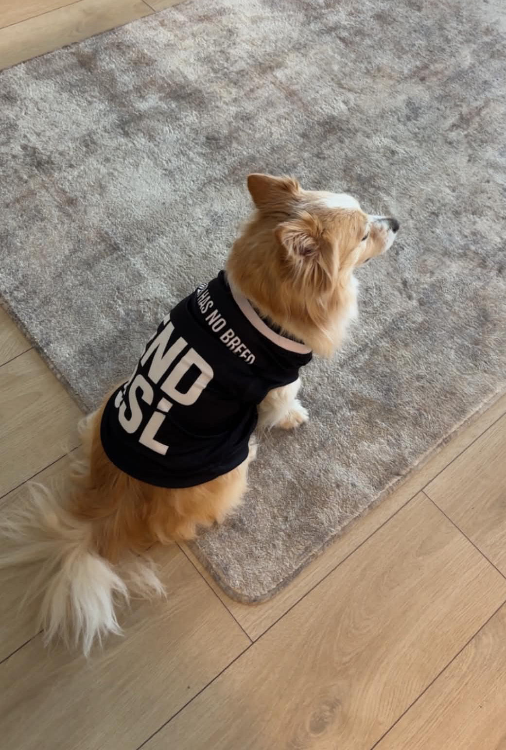 SLEEK – NO BSL Dog Jersey