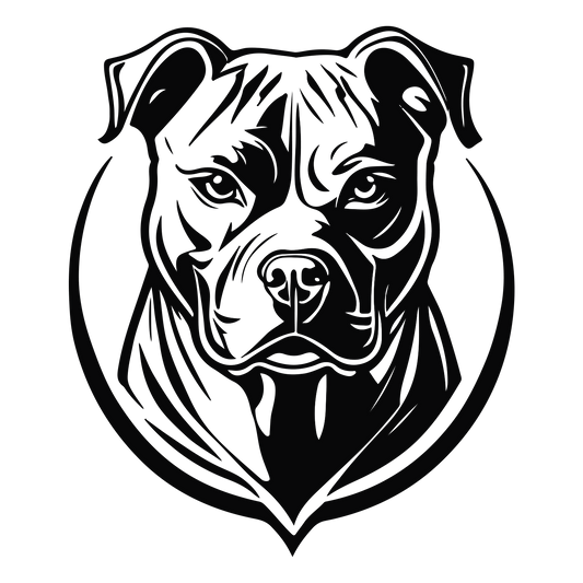 FIT - Crunch Flared Leggings